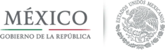 mexico republica logo