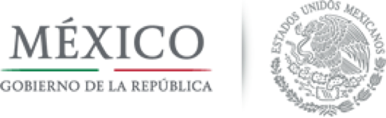 mexico republica logo